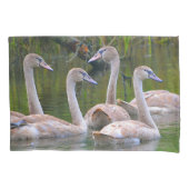 若い白鳥 枕カバー (正面)