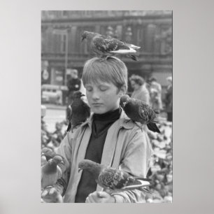 若い聖フランシスのための濃度1968 ポスター