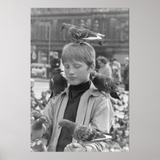 若い聖フランシスのための濃度1968 ポスター