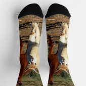 若い茶色と白のアルパカ、クルーソックス ソックス (上部)