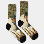 若い茶色と白のアルパカ、クルーソックス ソックス (右)