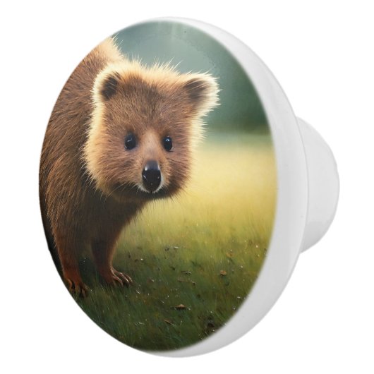 若い茶色のふわふわしたオーストラリアのクッカ セラミックノブ (右)