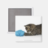 若い虎猫は遊羊毛で子猫だ。 マグネット (正面/裏面)