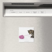 若い虎猫遊がボールで子猫を飼っている マグネット (インサイチュ (食洗機))