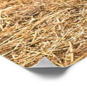 若い豚ヤギ ポスター (角)