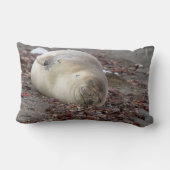 若い象のアザラシ ランバークッション (裏面)