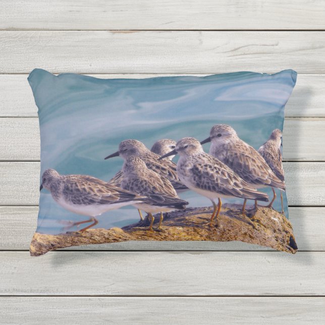 若い赤いターンストーン アウトドアクッション (正面)