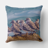 若い赤いターンストーン クッション (裏面)