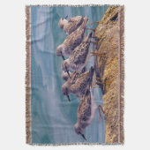 若い赤いターンストーン スローブランケット (正面縦)