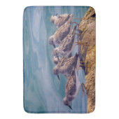 若い赤いターンストーン バスマット (正面縦)