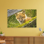 若い赤のキツネサンフアンのフェンスを介して見て キャンバスプリント (インサイチュ (リビング))