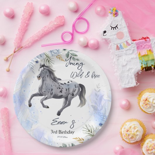 若い野生と自由なギャロピンアパルーサ誕生日 ペーパープレート (パーティー)