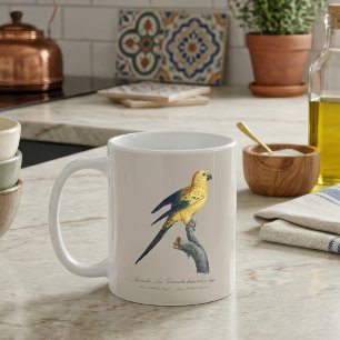 若い頃の Guaruba / サンバケツインコ コーヒーマグカップ