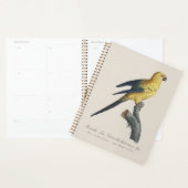 若い頃の Guaruba / サンバケツインコ プランナー手帳 (ディスプレー)