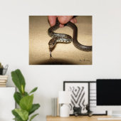 若い黒レーサー ポスター (ホームオフィス)