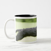 若い(5か月)黒いBriard (Berger de Brie)、 ツートーンマグカップ (左)