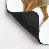 若いAppaloosaの馬のマウスパッド マウスパッド (コーナー)