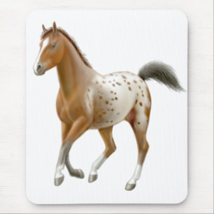 若いAppaloosaの馬のマウスパッド マウスパッド