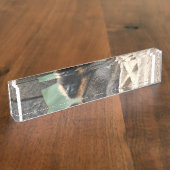 若いCapuchin猿 デスクネームプレート (側面)