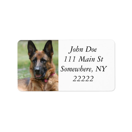 若いGSD ラベル (正面)