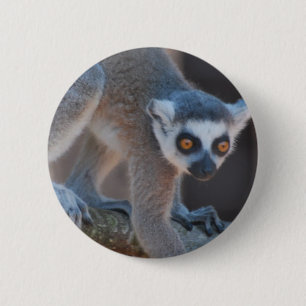 若いLemurボタン 缶バッジ