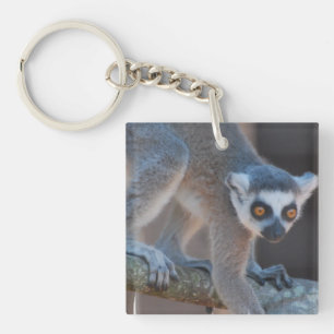 若いLemur Keychain キーホルダー