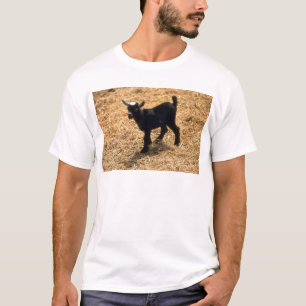 若いPigmyのヤギ Tシャツ