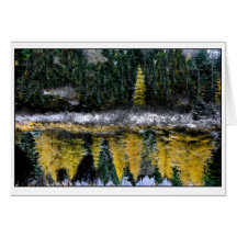 若いTamarackの夢