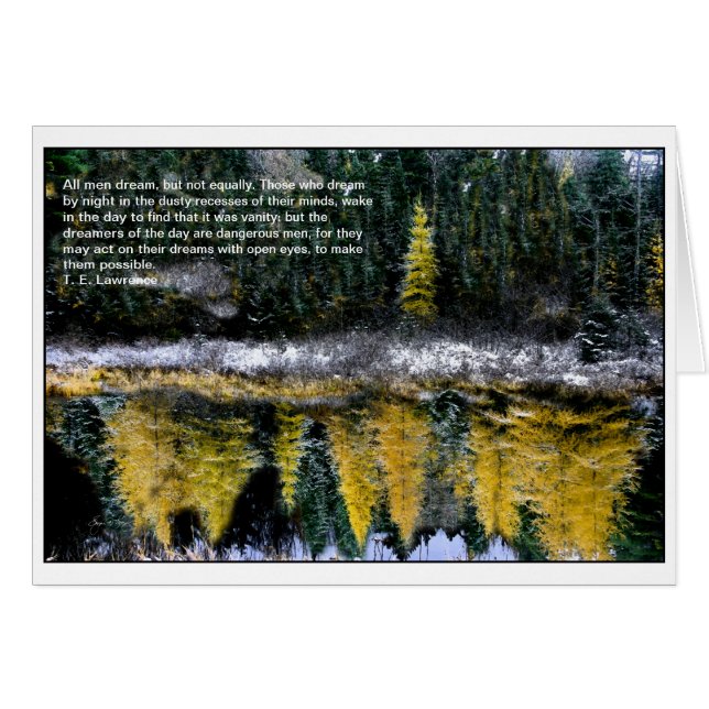 若いTamarackの夢 (正面横)