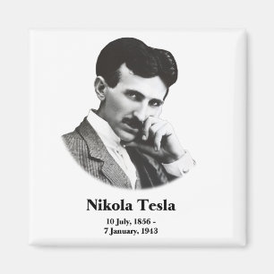 若いTesla マグネット