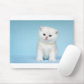 若く白い猫は青い背景で置かれます マウスパッド (マウス)