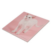 若く白い猫2 タイル (側面)