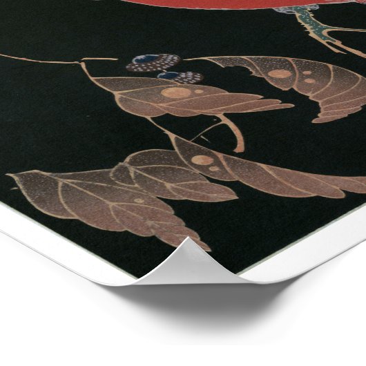 若冲の木の枝に赤いオウム ポスター (角)