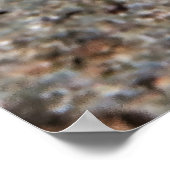 若帝王 ポスター (角)