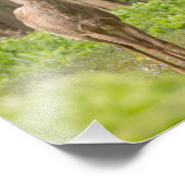 若手バック フォトプリント            (角)