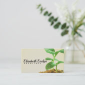 若木の植物 名刺 (スタンド正面)