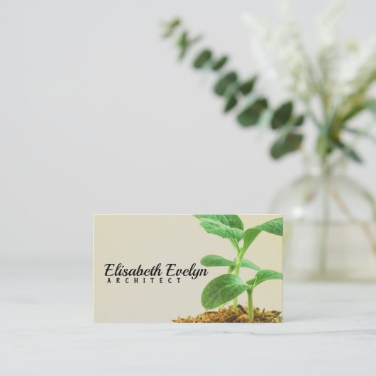 若木の植物 名刺 (スタンド正面)