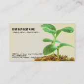 若木の植物 名刺 (裏面)