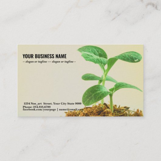 若木の植物 名刺 (裏面)
