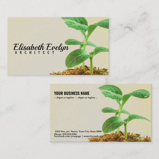 若木の植物 名刺 (正面/裏面)