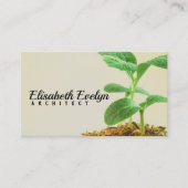 若木の植物 名刺 (正面)