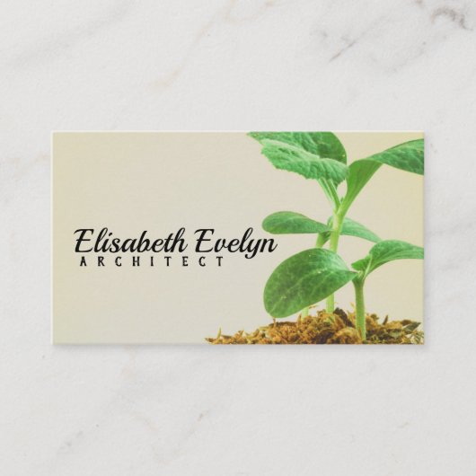 若木の植物 名刺 (正面)