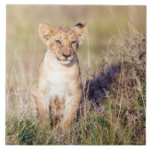 若獅子 タイル (正面)