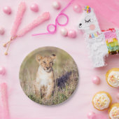 若獅子 ペーパープレート (パーティー)