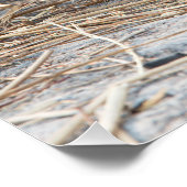 若獅子 ポスター (コーナー)