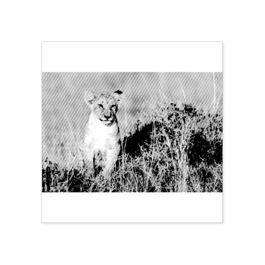 若獅子 ラバースタンプ (インプリント)