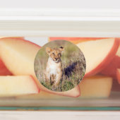 若獅子 ラベル (貼付)