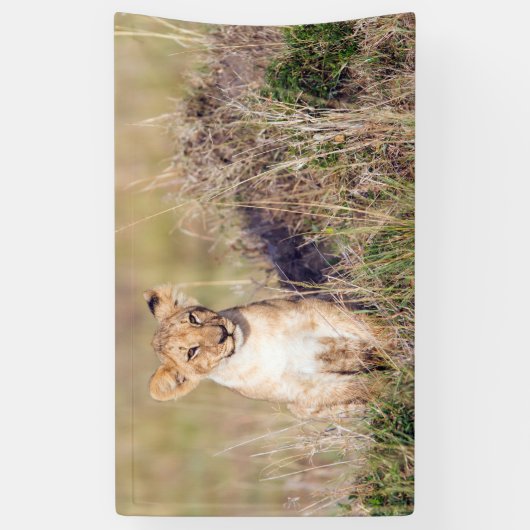 若獅子 横断幕 (縦)