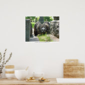 若素晴らし角フクロウ ポスター (キッチン)