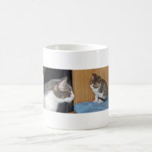 若者および古いの